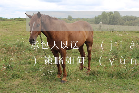承包人“以送審價(jià)為準(zhǔn)”策略如何運(yùn)用？